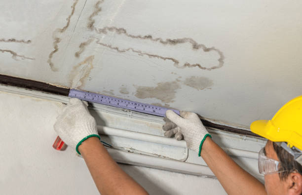 Reliable Burst Pipe Cleanup contractor in Wayne, IL by Water Damage Irwin